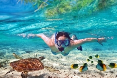 Snorkel_in_crystal_clear_blue_waters_Cozumel_Mexico